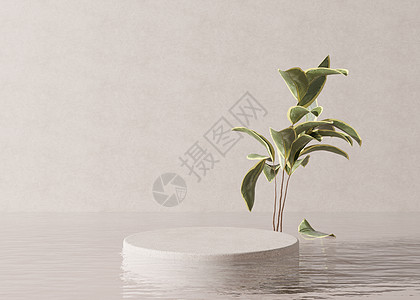 讲台站在水中 有植物 在奶油色背景上 产品 化妆品展示的漂亮模型 美容产品的基座或平台 空旷的场景 舞台 3D 渲染3d奢华推介图片