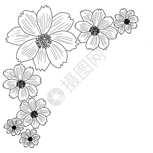 外观矢量鲜花插图 边角边框带花卉元素的边框 彩色页面图片