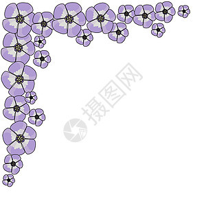 紫花角边框 带有黑色轮廓 矢量手画图示图片