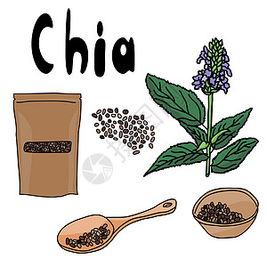 超级食品 Chia 套装 勺子里的种子 碗里的种子 包装里的种子 开花植物 健康流行的抗氧化剂食品图片