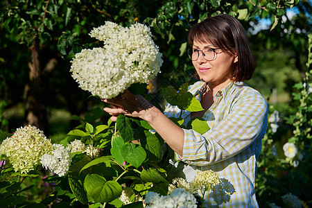 女人有松土耳 切白羽花花园修剪园林女士绿化花瓣爱好种植植物学后院图片