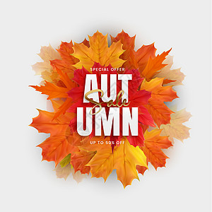 带有落叶的秋季销售海报 矢量 I 说明树叶插图叶子折扣广告促销背景图片