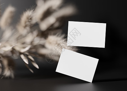 黑色背景上的空白白色名片与干植物 模拟品牌标识 两张牌 显示双方 图形设计师的模板 免费 复制空间 3D 渲染图片