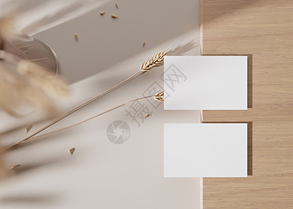 木质表面上的空白白色名片与干植物 模拟品牌标识 两张牌 显示双方 图形设计师的模板 自由空间 复制空间 3D 渲染图片