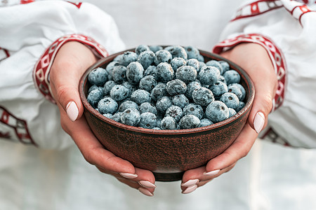 乌克兰妇女在刺绣衬衫拿着花园背景上的蓝莓 丰富的黑莓收获 新鲜成熟的有机浆果伟大的越橘植物生物食物小吃收成女士健康蓝色薄荷水果覆图片