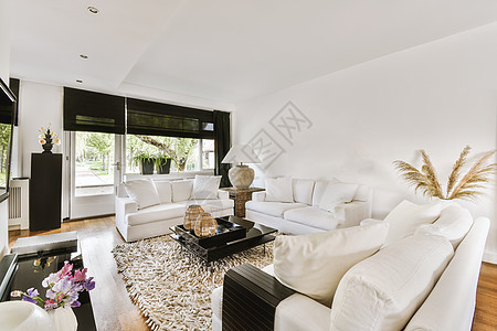 现代公寓内舒适的客厅室内地毯住宅建筑学风格电视家具桌子休息室长椅架子图片