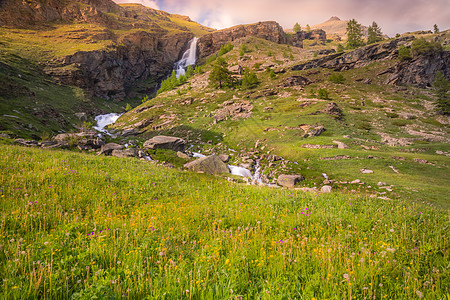 意大利大帕拉迪索阿尔卑斯山草地石头地标高山旅行场景丝绸风景旅游田园图片