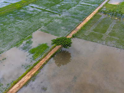 受雨季洪水影响的稻田或农业区的鸟瞰图 大雨和农田洪水泛滥后河流泛滥的俯视图图片