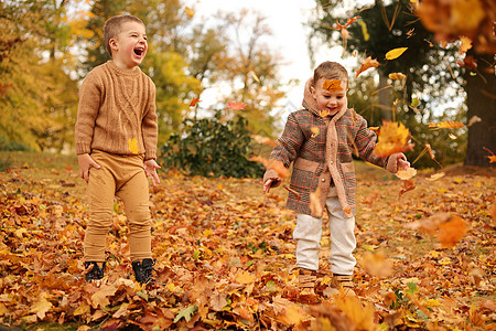 秋天户外欢乐 孩子们玩秋天的树叶 在公园里落叶 快乐的小朋友微笑橙子幸福跳跃家庭黄色乐趣孩子叶子兄弟图片