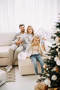 幸福的家庭 妈妈 爸爸和宠物 家庭在明亮的新年内地 有圣诞树女儿母亲情绪喜悦动物家居沙发父母孩子婴儿背景图片