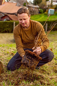 花园里有人种植物 自然 环境和生态概念 笑声地面公园植物群工作服工具男性农业种植园艺工作图片