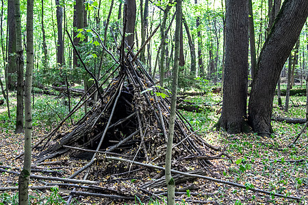 童年玩耍的儿童在森林中用树枝做成的小小屋小屋公园林地隐藏树木剧场庇护所农村荒野树干图片