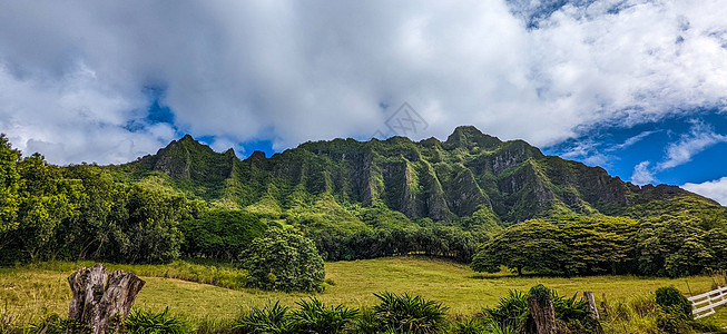 Kualoa山脉全景景观 夏威夷Oahu岛著名拍摄地点观光山脉蓝色风景牧场公园天空森林悬崖旅行图片