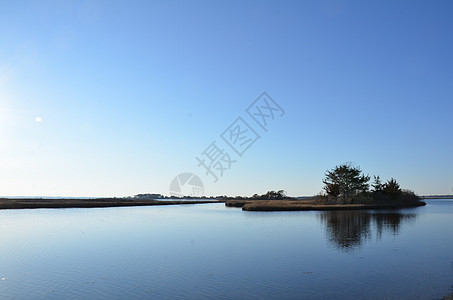 含棕色草和海岸的湖泊或河流海洋支撑湿地天空海滩池塘植物图片