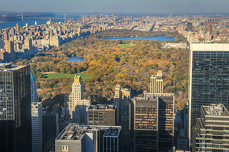 美国纽约曼哈顿市金秋天中央公园空中观光绿色场景风景林地榆树城市天线旅游摩天大楼季节图片