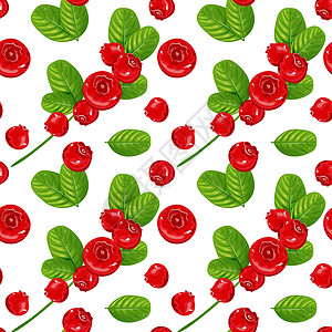 无缝模式 红浆果和绿叶水果墙纸植物插图叶子食物森林树叶花园艺术图片