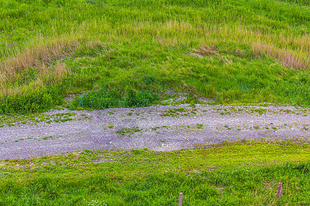 德国北部农业田地 自然树堤坝 自然景观全景德国牧场场地堤防农村蓝天风力涡轮机草地天气树木图片