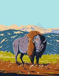 黄石公园怀俄明州海报艺术展的草原 北美图片