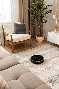 看见机器人真空吸尘器清洁工在新客厅用浅色米色和灰色的轻色地毯上工作图片