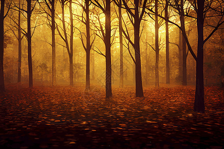 夜晚有阳光的魔法秋天森林 金色阳光 日落时橘子树叶 秋天是仙林爬坡叶子季节环境黄色红色橙子金子草地棕色图片