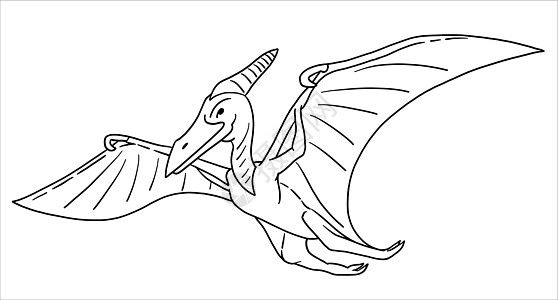 黑白风格的说明 轮廓线侏罗纪古生物学生物动物孩子填色蜥蜴艺术捕食者插图图片