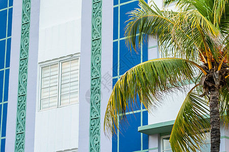 美国佛罗里达州迈阿密南海滩的热带棕榈树 特写典型多彩艺术Deco建筑群和热带棕榈树地标棕榈建筑晴天吸引力旅行装饰外观街道海滩图片