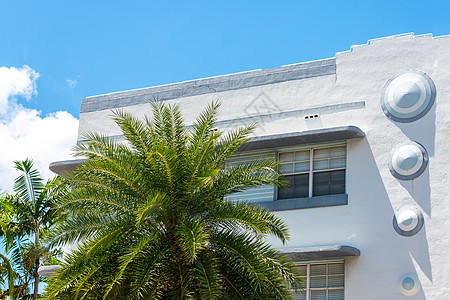 美国佛罗里达州迈阿密南海滩的热带棕榈树 特写典型多彩艺术Deco建筑群和热带棕榈树海洋晴天棕榈城市装饰天空街道建筑旅行吸引力图片