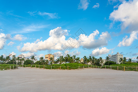 通往佛罗里达州迈阿密南海滩海滩的道路旅行吸引力闲暇阳光棕榈天空蓝色栅栏假期海岸线图片