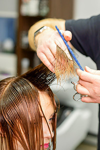 美发师的手握住手指间的发丝 在美发沙龙用梳子和剪刀为年轻女子的长发理发 特写发型发型师女士商业修剪职场造型师理发客户女性图片