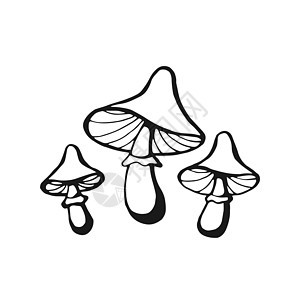 手画蘑菇大纲 线条艺术风格与白色背景隔绝夹子写意艺术品蔬菜涂鸦手绘插图绘画翅膀魔法图片