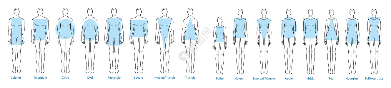 一组女性男性体型轮廓 苹果 梨 矩形 柱形 梯形 圆形 椭圆形 正方形 砖形图片