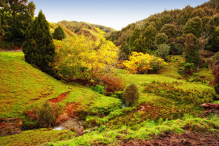 新西兰地貌景色的秋天山谷 秋季在新西兰的一个谷地上图片