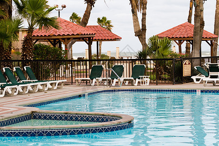游泳池躺椅叶子酒店树干蓝色热带植物科公园花园棕榈图片
