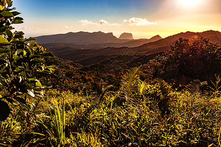 日落时 毛里求斯热带岛屿上的荒野 浪漫和多语的风景图片