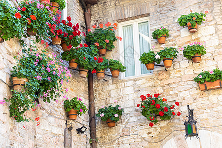 意大利翁布里亚地区的阿西西村 该镇以意大利最重要的圣弗朗西斯圣弗朗西斯大教堂而闻名旅行窗户爬坡宗教村庄天空蓝色文化观光房子图片
