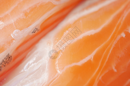 Raw详细拍摄 新鲜鲑鱼牛排图片