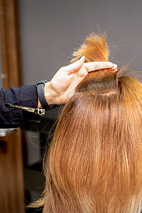 美发师在女性头发的手指间握着一根线 在美发沙龙检查年轻女子的头发咨询发型手臂女士造型师理发师划分顾客梳子美容师图片