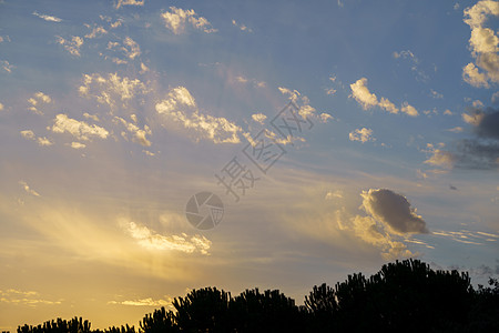 日出时天亮的戏剧性天空 背景有树木阳光天际地平线太阳黄色全景梦幻气象风景墙纸图片