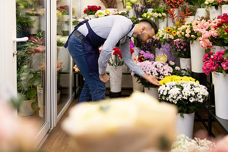 商务人士花店家 在冰箱背景上 用鲜花送来的新花图片