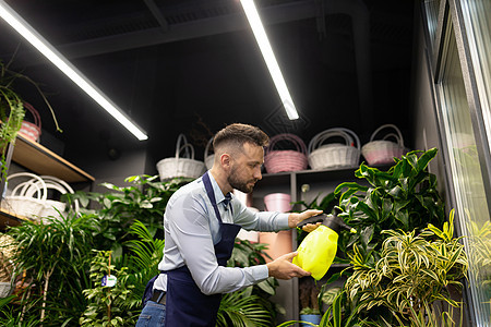 商务人士花店商 通过用喷雾瓶浇灌水来经营陶植植物图片