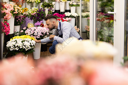 花店的花商检查冰箱里花束的质量 为情人节或国际妇女节的活跃销售做准备图片