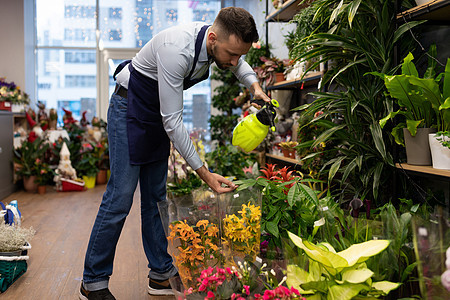 花店清扫 给花店的鲜花浇水图片