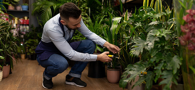 植物栽培的植物背景下的植物学家往往在花棚里放花朵图片