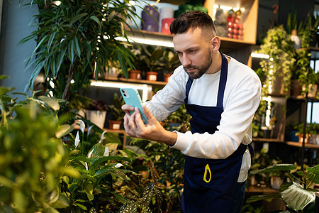 一个穿围裙的男花店员 在花店里用手机拍植物装饰的照片图片