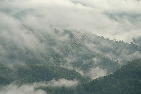 清晨在绿山上的雾 在泰国山区的清晨 早上环境丘陵山脉旅游荒野热带旅行季节天空树木图片