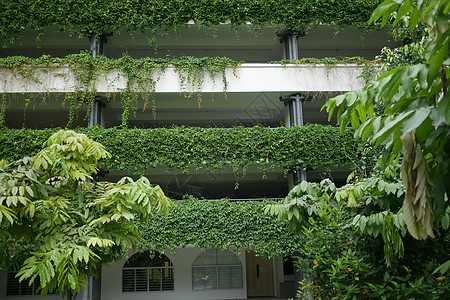 外观上生长着植物的建筑环境景观阳台公寓生态住宅活力城市市中心绿色图片