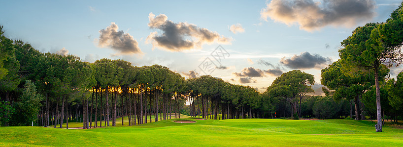 高尔夫球场有美景 湖边和松树的风景 还有阳光明日的松树俱乐部蓝色草地球道高尔夫晴天课程场地高尔夫球火鸡图片