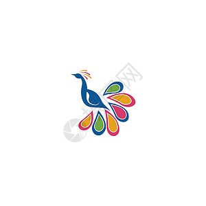 孔雀图标徽标标识图插图设计身份异国尾巴动物情调羽毛图片