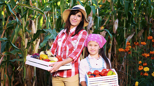 微笑的农民家庭的肖像 母亲和女儿拿着装有不同新鲜蔬菜的木箱 在农场收获 阳光明媚的夏日 麦田背景采摘食物水果男性生产生长帽子场地图片