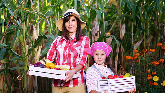 微笑的农民家庭的肖像 母亲和女儿拿着装有不同新鲜蔬菜的木箱 在农场收获 阳光明媚的夏日 麦田背景围裙生长园丁收成花园食物采摘农业图片